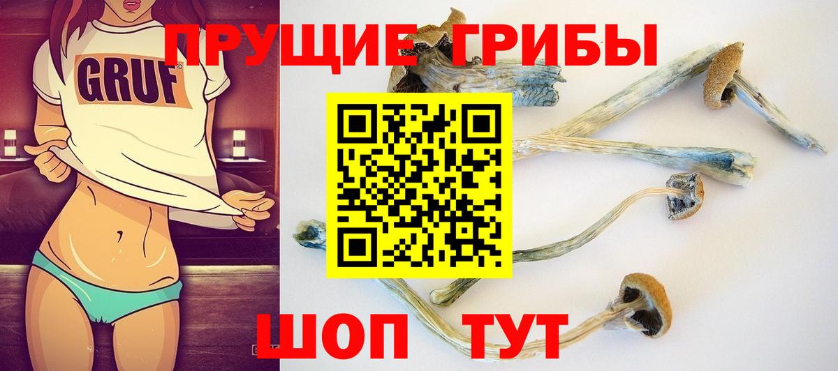 Псилоцибиновые грибы Psilocybe Ивантеевка